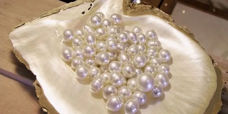 Nguyên Liệu Cần Chuẩn Bị