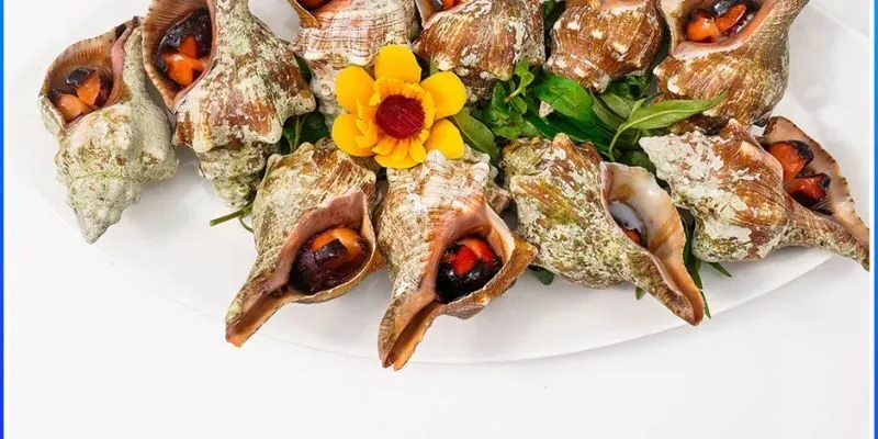 Ốc đỏ là gì?