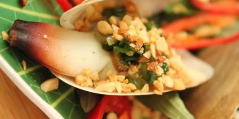 Ốc vòi voi – "Ngà voi" của biển khởi