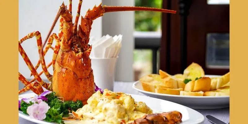 Nguồn gốc tôm hùm ba bi